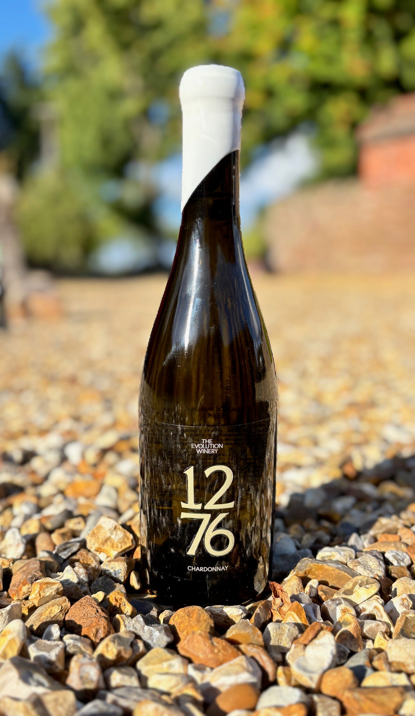 1276 Chardonnay 2024 – Elizabeth Rose Wines