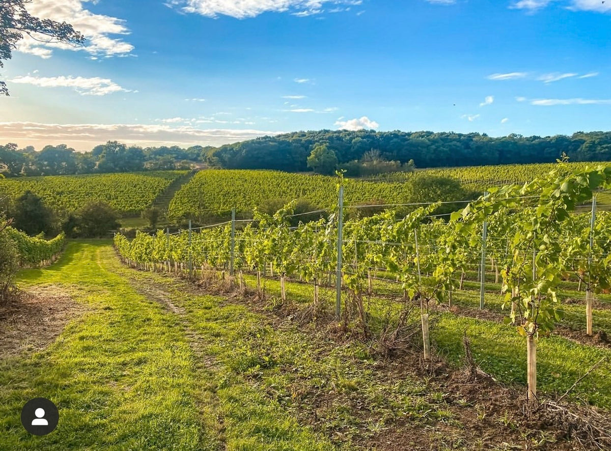 East Anglian Wine of the Year 2022