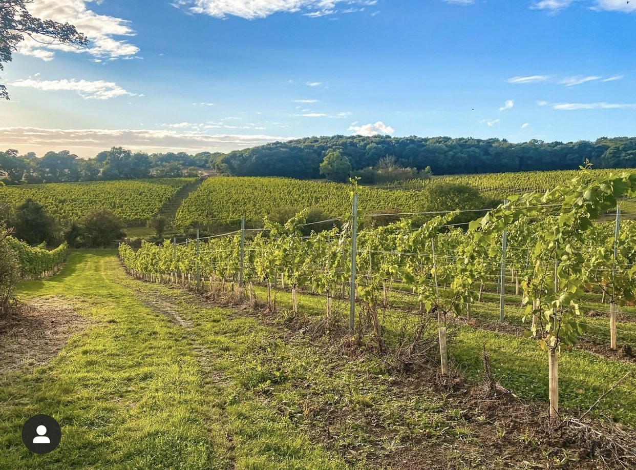 East Anglian Wine of the Year 2022