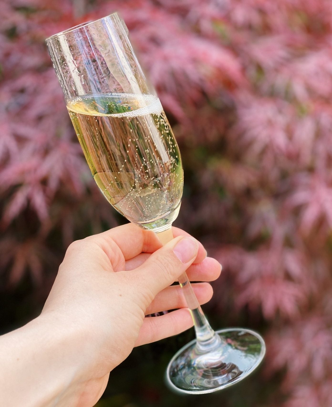 Champagne Alternatives