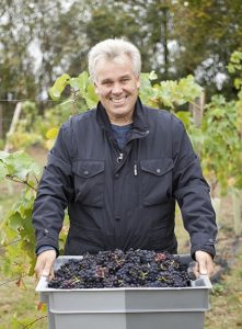 Saffron Grange Vineyard
