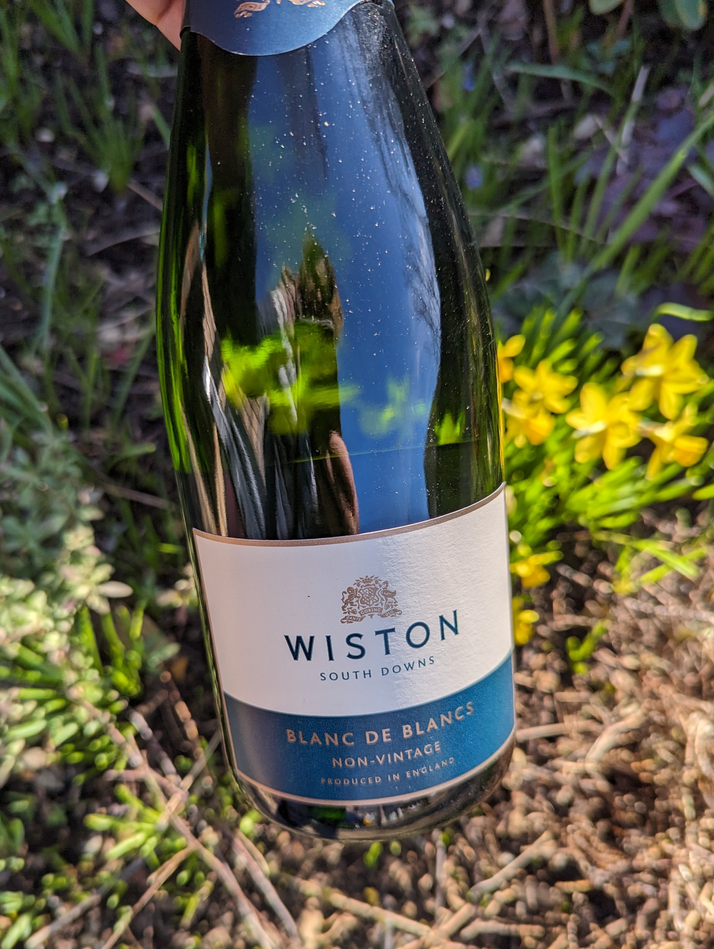 Wiston Estate, Blanc de Blancs NV image 1