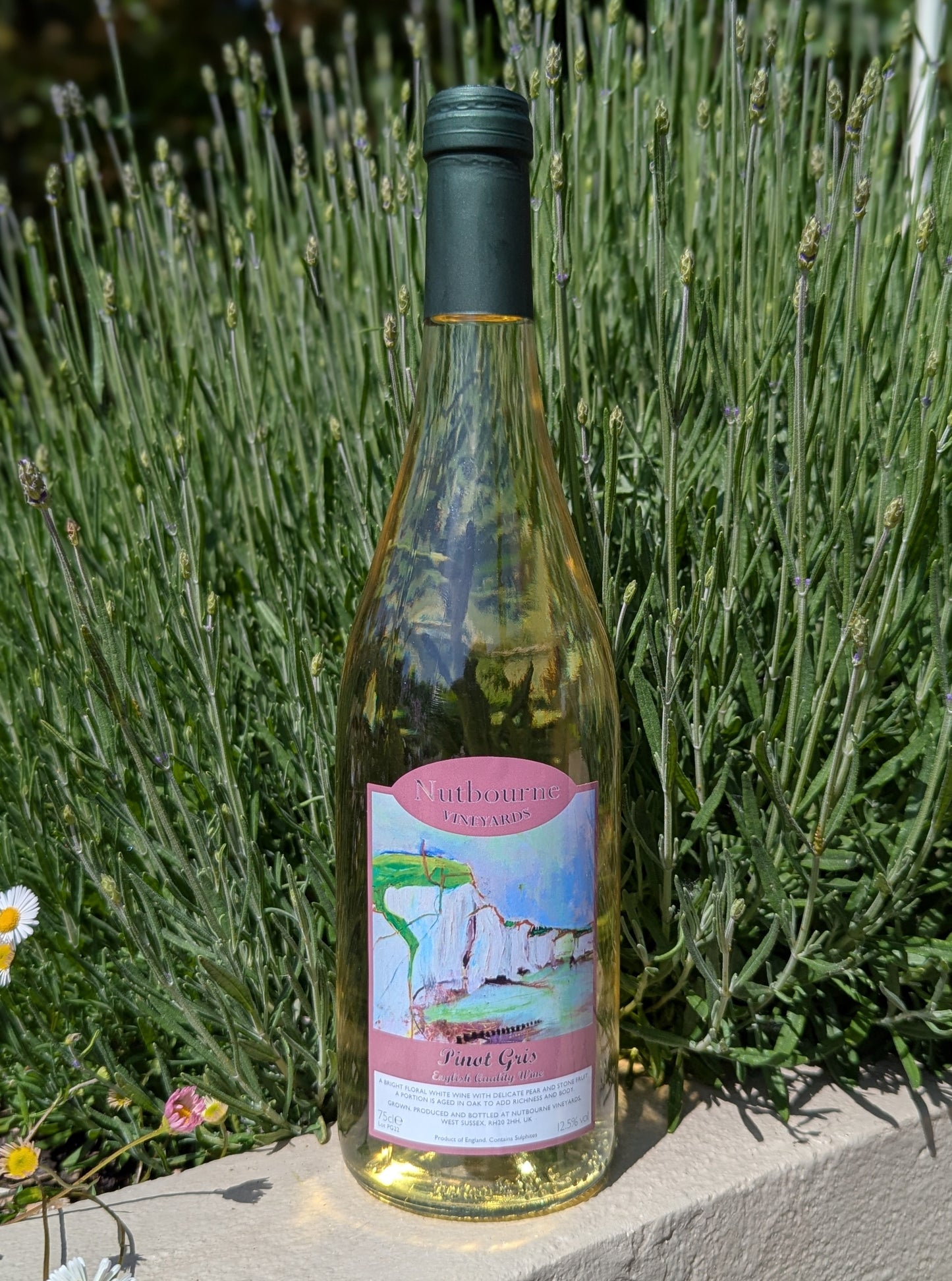 Bottle of nutbourne pinot gris with a label in front of lavender plants
