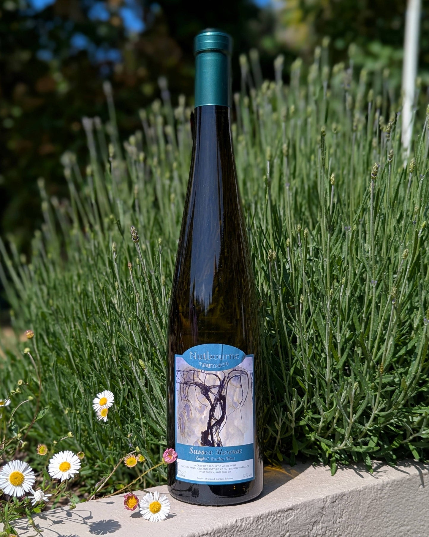 Bottle of nutbourne Sussex reserve with a label on a ledge with plants and flowers in the background