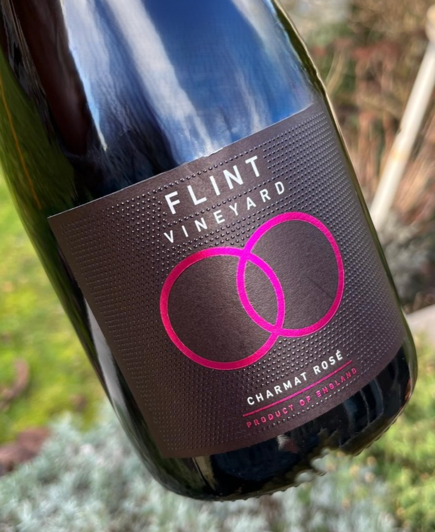Flint Vineyard Charmat Rosé image 1