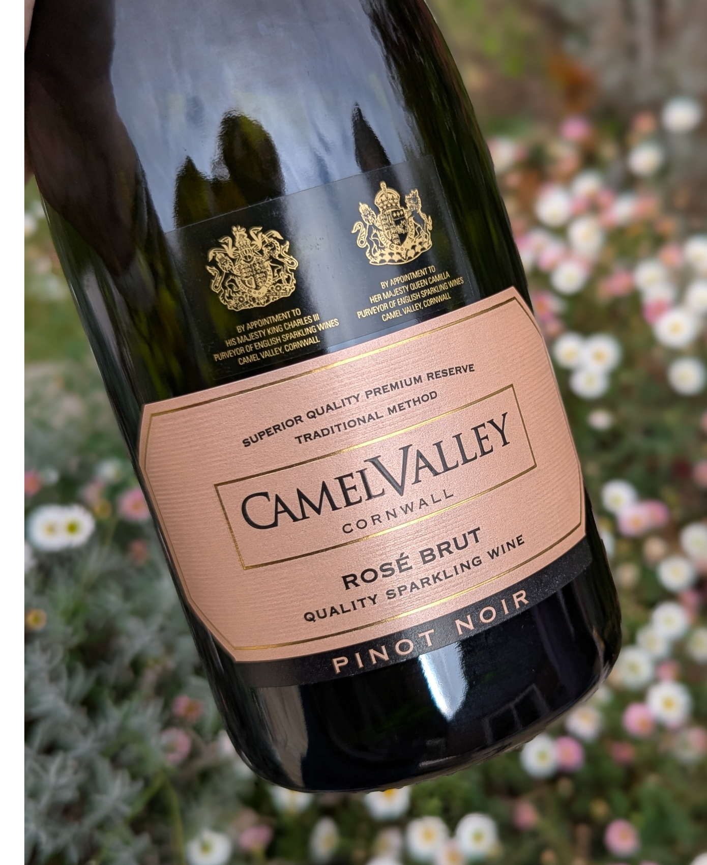 Camel Valley Pinot Noir Rosé Brut 2022 image 2