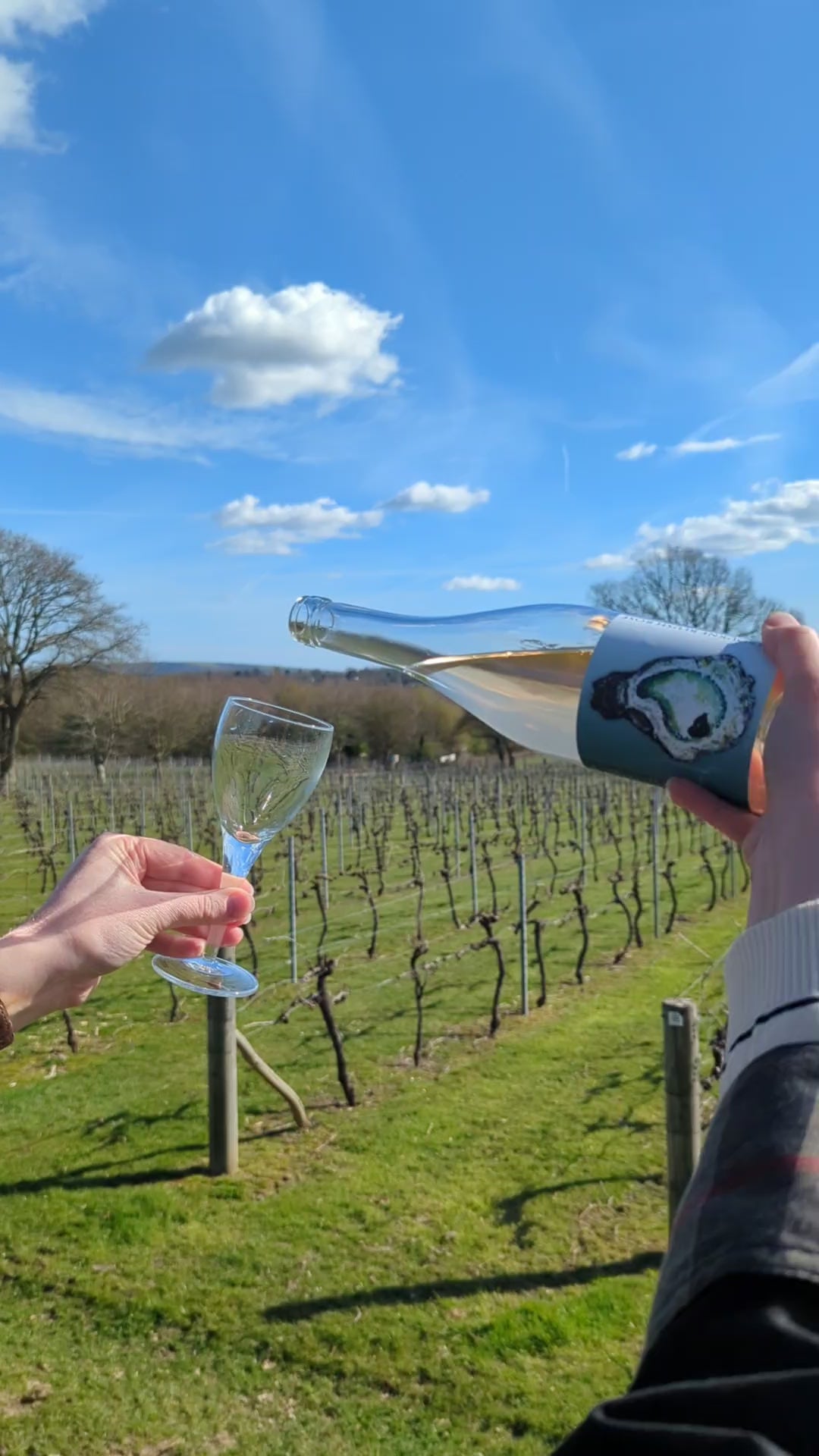 Glass of dry rose wine