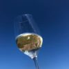Bardfield Bacchus - Image 4