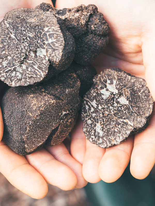 Truffles and wine